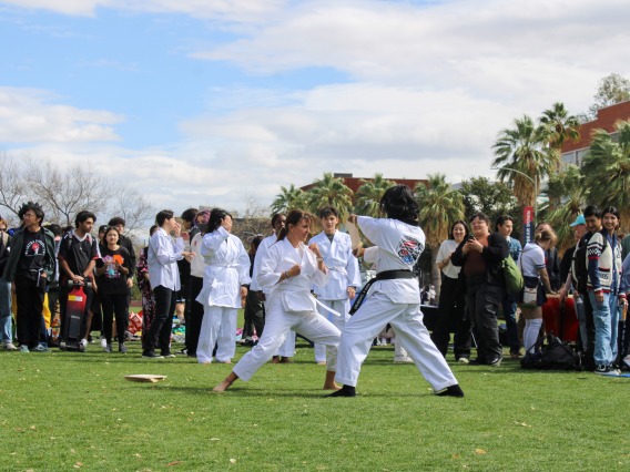 EAS Festival 2025: Tae Kwon Do Performance